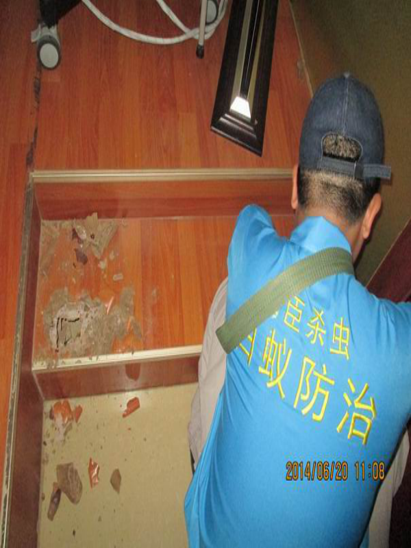 木地板滅白蟻